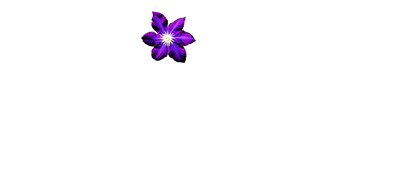 Bloomlight Productions GmbH